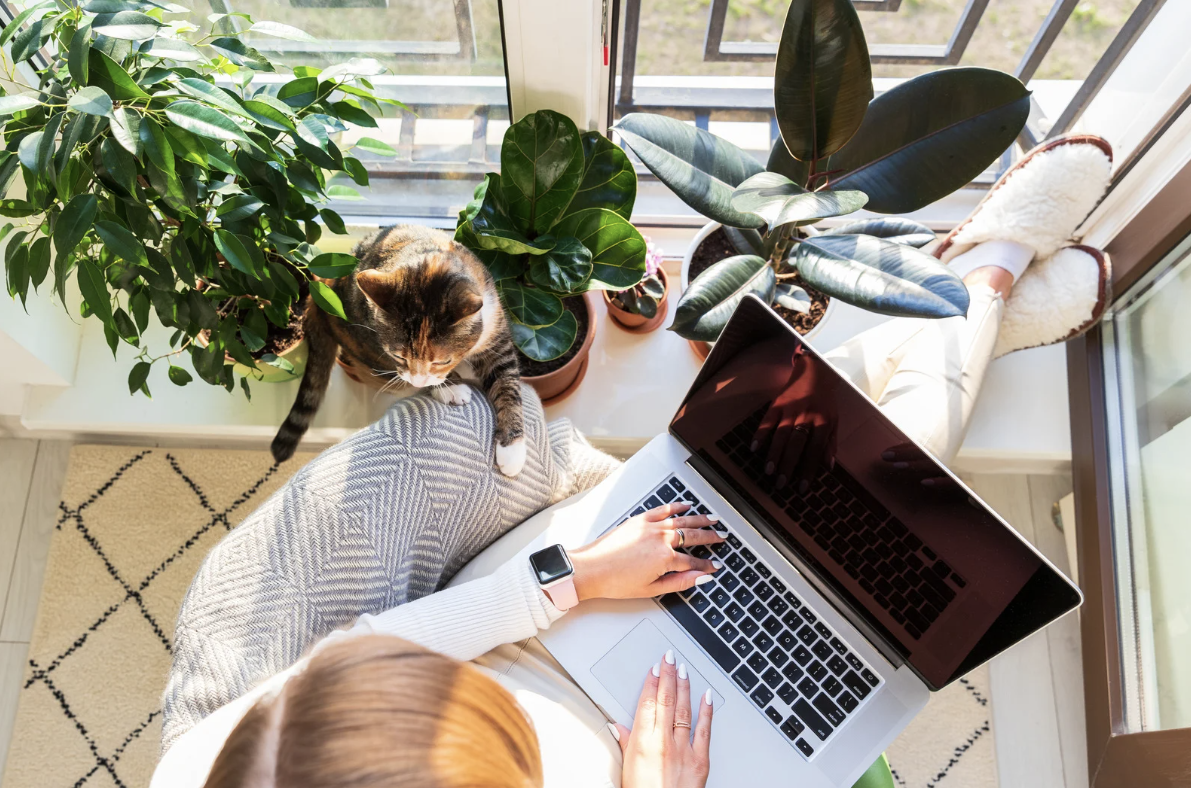 Screenshot 2569-01-06 at 10.59.22.png